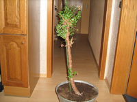 IMG_1565.webp