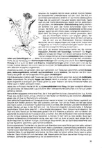 Löwenzahn.webp