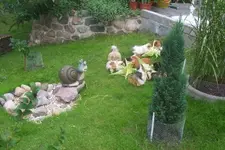 100_0999.webp