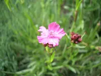 CIMG5405.webp