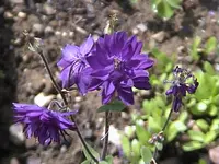 DSC00014.webp