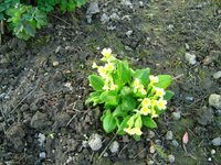 IMG_1452.webp