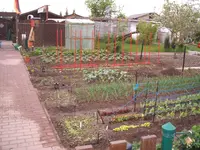 Garten 30.04.09 005.webp