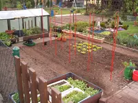 Garten 30.04.09 006.webp