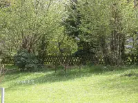 Wiese b.webp