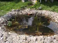 Teichnah01175.webp