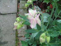 IMG_1572.webp