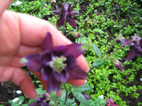 IMG_1574.webp