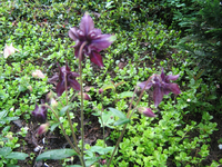 IMG_1575.webp