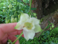 IMG_1579.webp