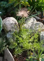 P1050240_441_600.webp