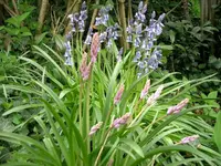 CIMG5545.webp