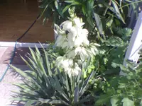 Bild037.webp