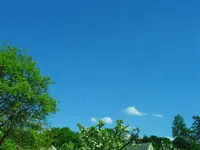 03.05.2009 015.webp