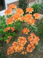 Bild 030.webp