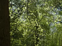 P1040958_600_450.webp