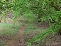 P1050785_Weg_600_450.webp