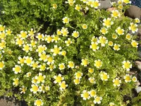 DSCF2884.webp