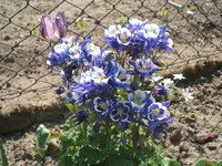 DSCF2885.webp