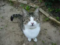 Anton Mai 09.webp