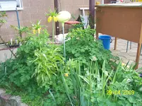 100_1508.webp