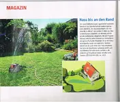 Regner.webp