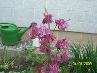 003.webp