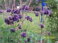 008.webp