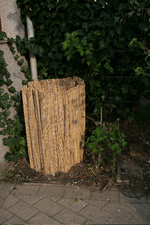 IMG_9850.webp