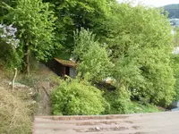garten.webp