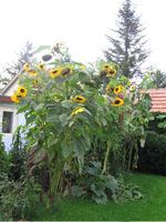 IMG_5304.webp