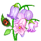 blume_383[1].gif