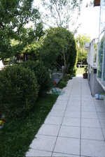 _MG_0160.webp