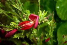 CIMG5148.webp