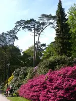 P1050396_450_600.webp