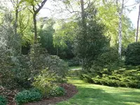 P1050444_600_450.webp