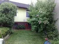 06052009433.webp
