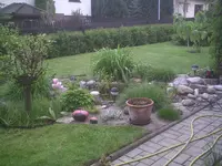 PIC00704.webp