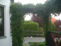 PIC00710.webp