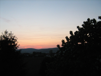 IMG_1606.webp
