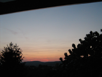 IMG_1607.webp