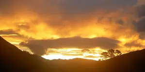 Herbst 2009 148.webp