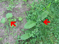 IMG_0942_klein.webp