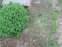 IMG_0946_klein.webp