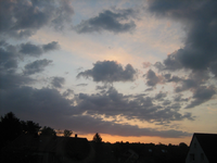 IMG_1609.webp
