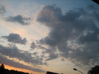 IMG_1610.webp