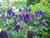100_1527.webp