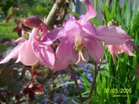 100_1541.webp