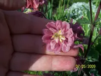 100_1543.webp