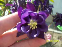 100_1544.webp